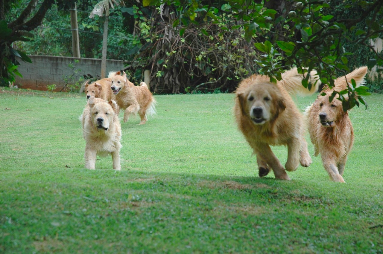 4 – monica Monninger