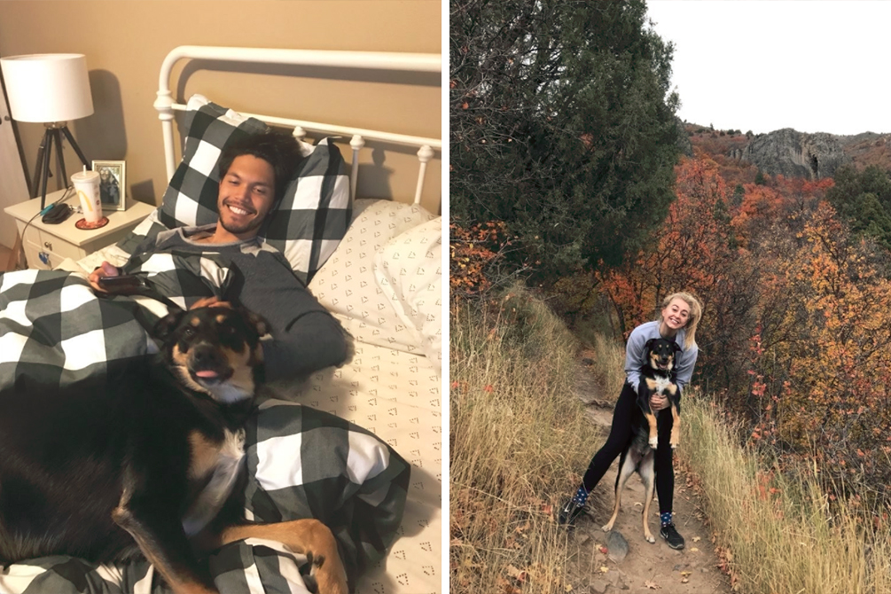 cachorro-finge-doenca-03