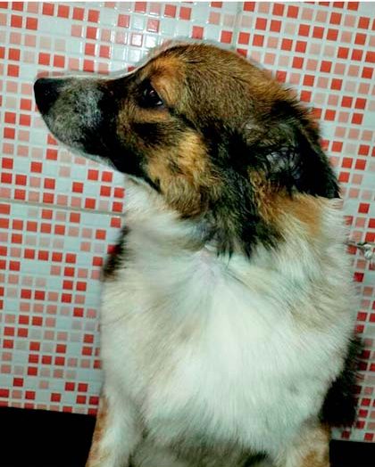 Winnie