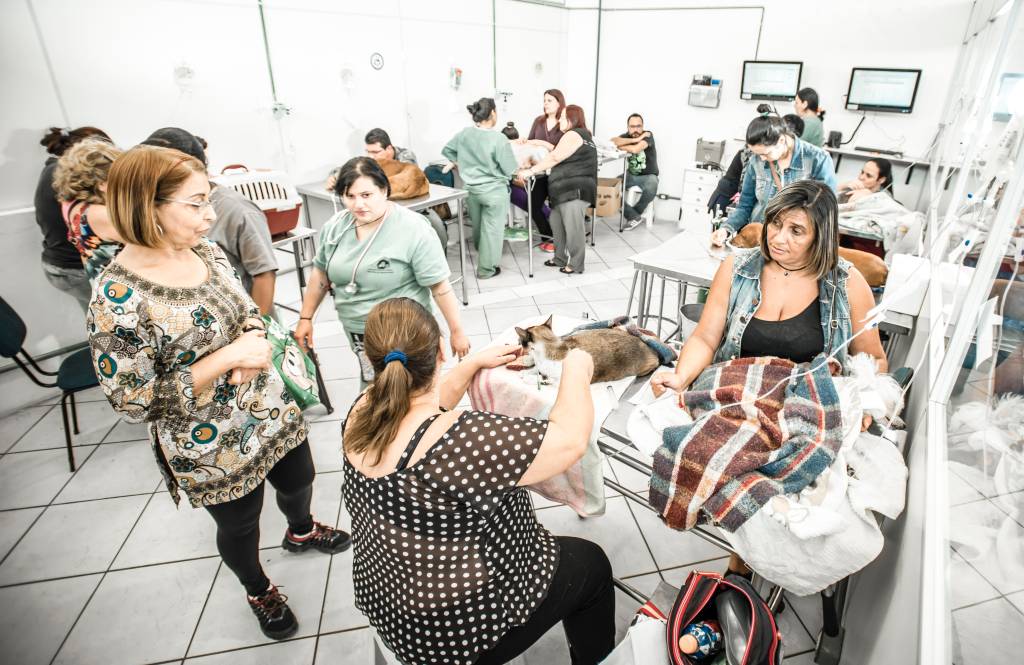 Estado de São Paulo ganha seu quinto hospital público veterinário