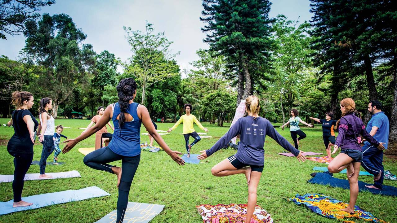 Imagem mostra círculo de praticantes de ioga no Ibirapuera