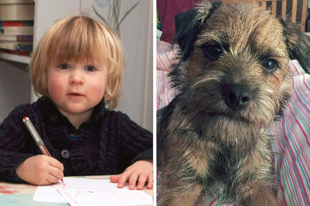 Menino faz apelo para ter cão de volta em carta ao Papai Noel