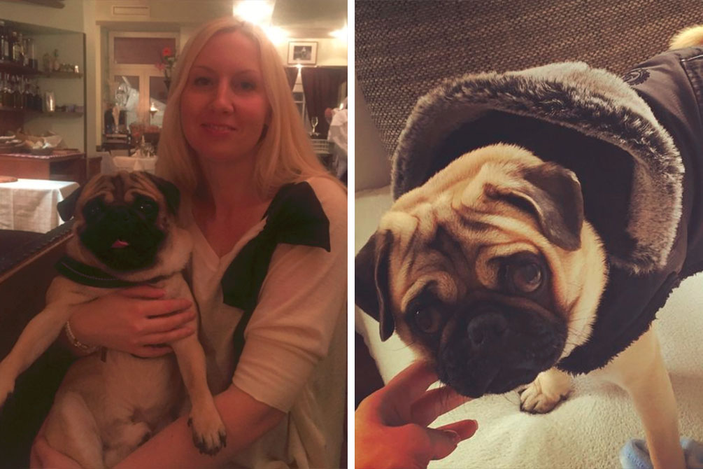 Mulher gasta 2 200 reais com presentes de Natal para o cachorro