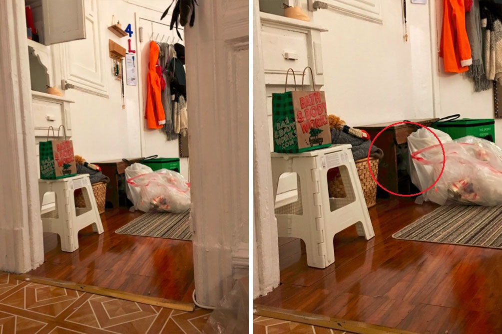 gato-escondido-twitter-04