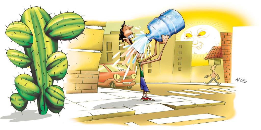 Mandacarus do asfalto