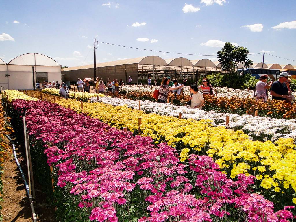 O que curtir em três cidades do interior
