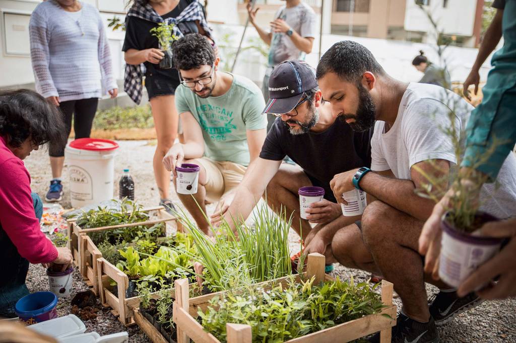Horta Comunitária – Divulgação Horta Comunitária – Divulgação