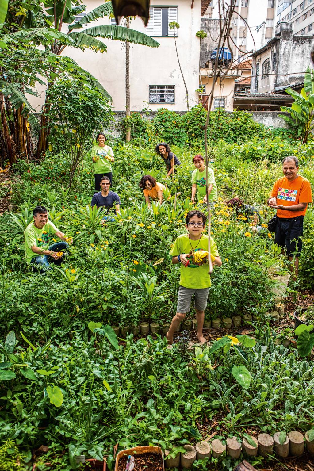 Horta Comunitária da Saúde _ Coletivos Urbanos Horta Comunitária da Saúde _ Coletivos Urbanos
