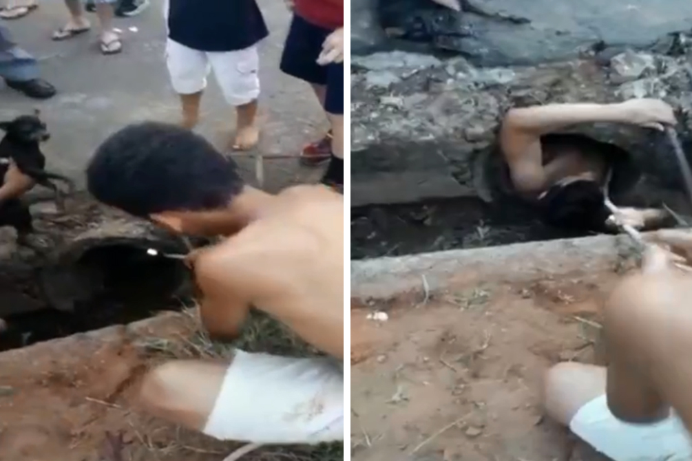 Garoto entra em tubulação de esgoto para resgatar cão no interior de SP