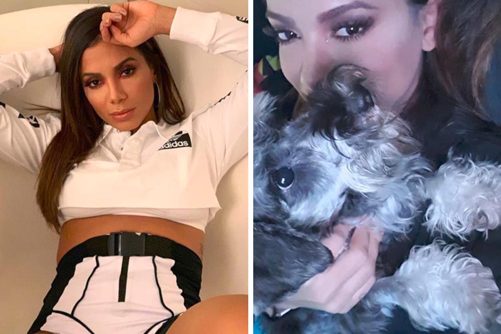 Anitta lamenta morte de cão de estimação em desabafo no Instagram
