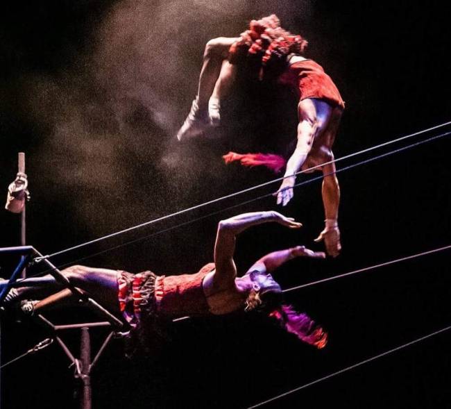 Circo Circo