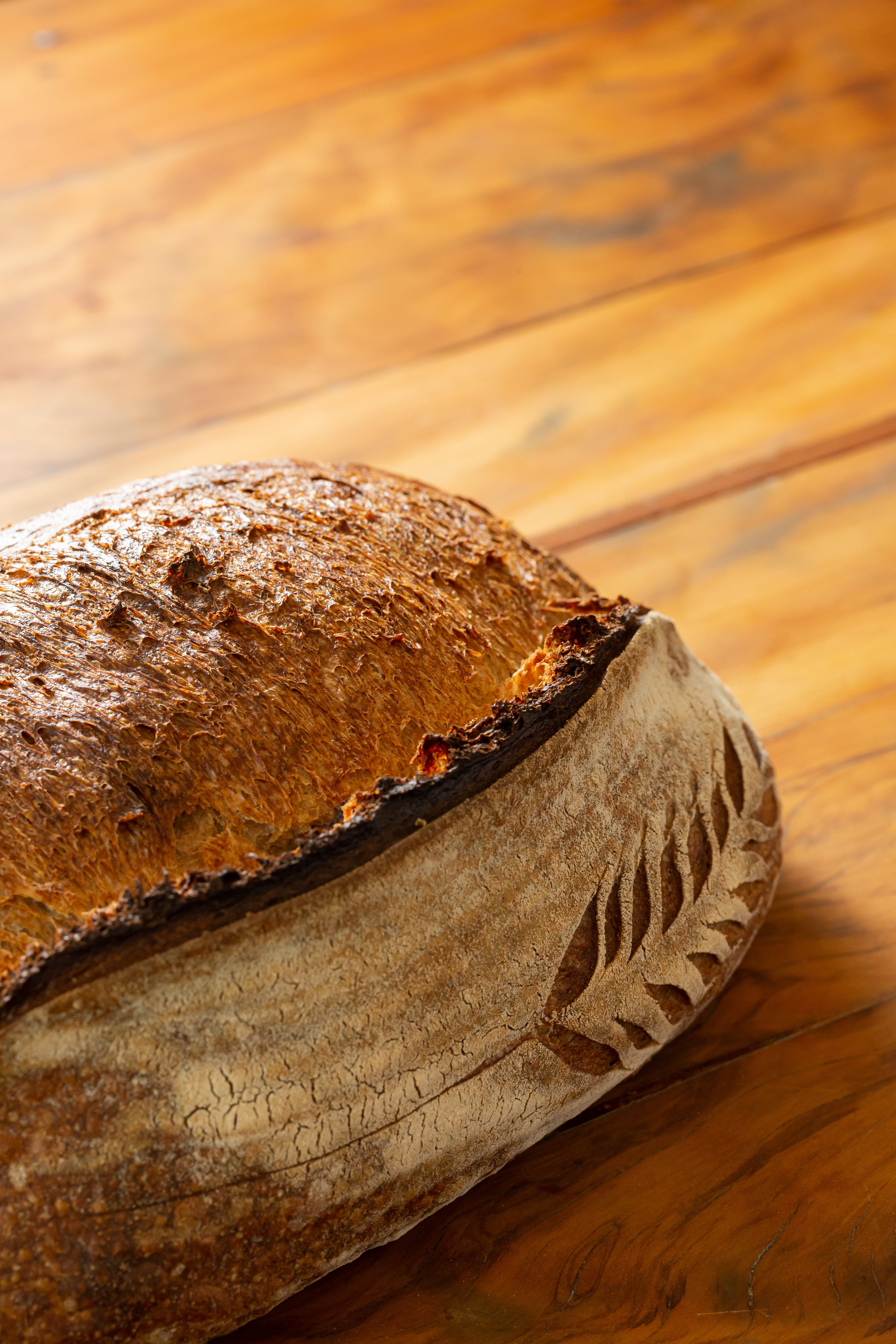 &copy;2019Romero Cruz