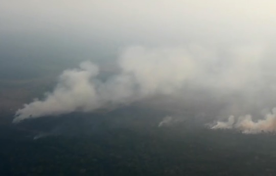Decreto suspende permissão de queimadas no Brasil por 60 dias