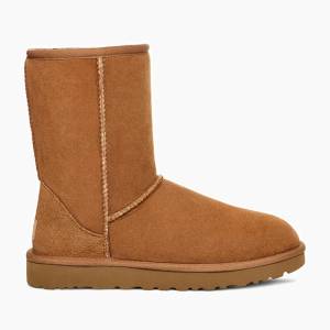 Bota UGG Bota UGG