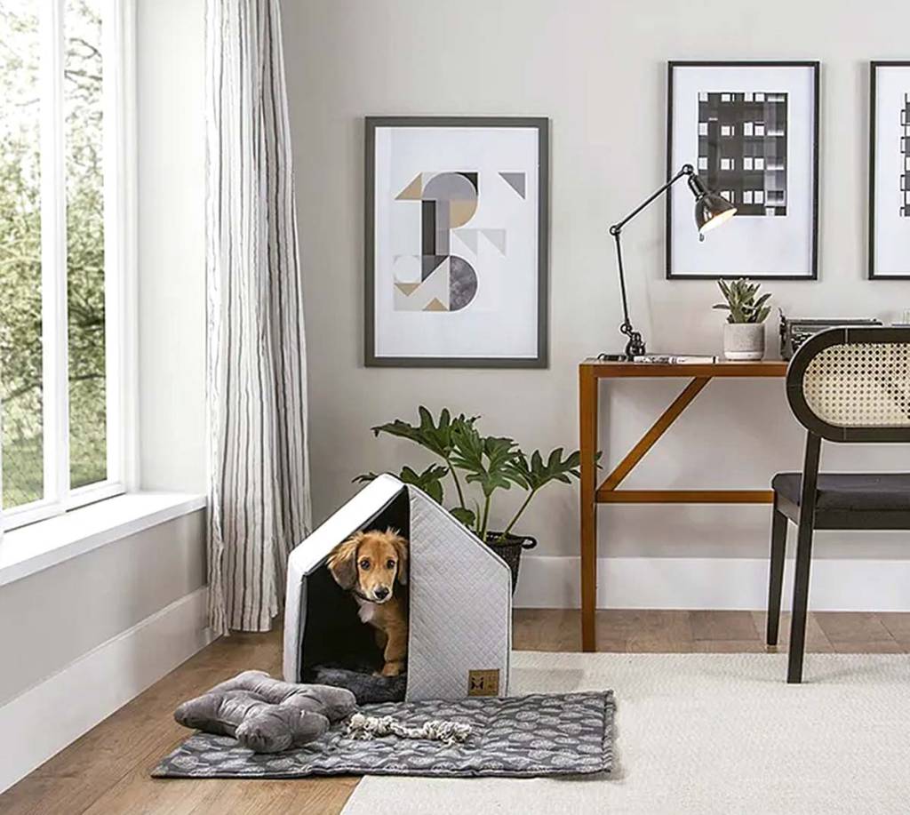 Nove marcas e lojas de produtos para pets para sair da mesmice