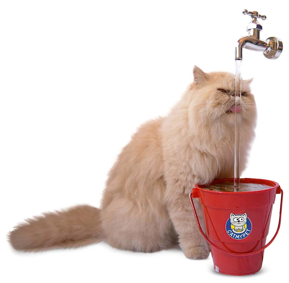 Cat My Pet – bebedouro elétrico Cat My Pet – bebedouro elétrico