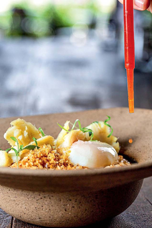 <span>Boa pedida: arroz cremoso de bacalhau com ovo perfeito</span> <span>Boa pedida: arroz cremoso de bacalhau com ovo perfeito</span>