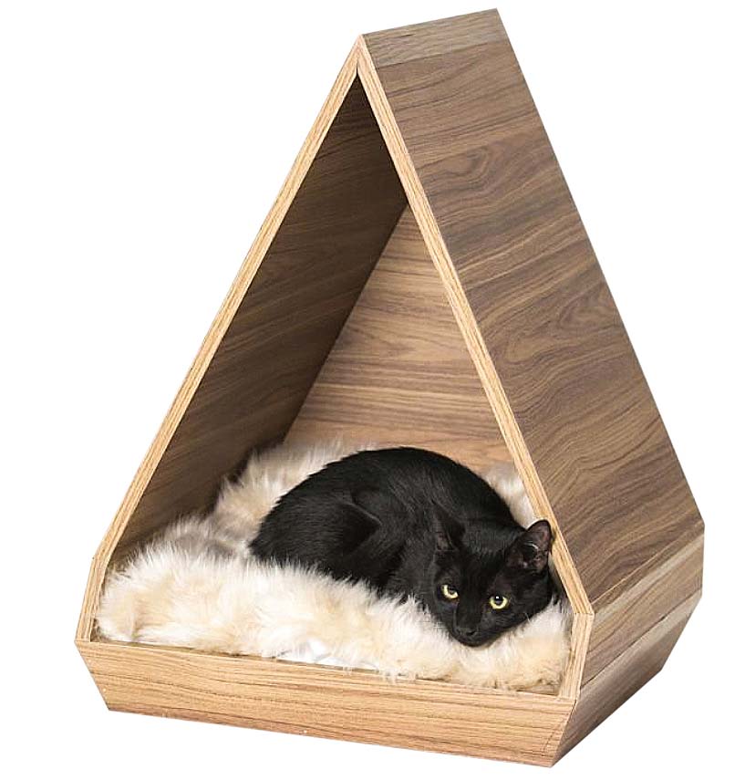 Gattedo Gattedo