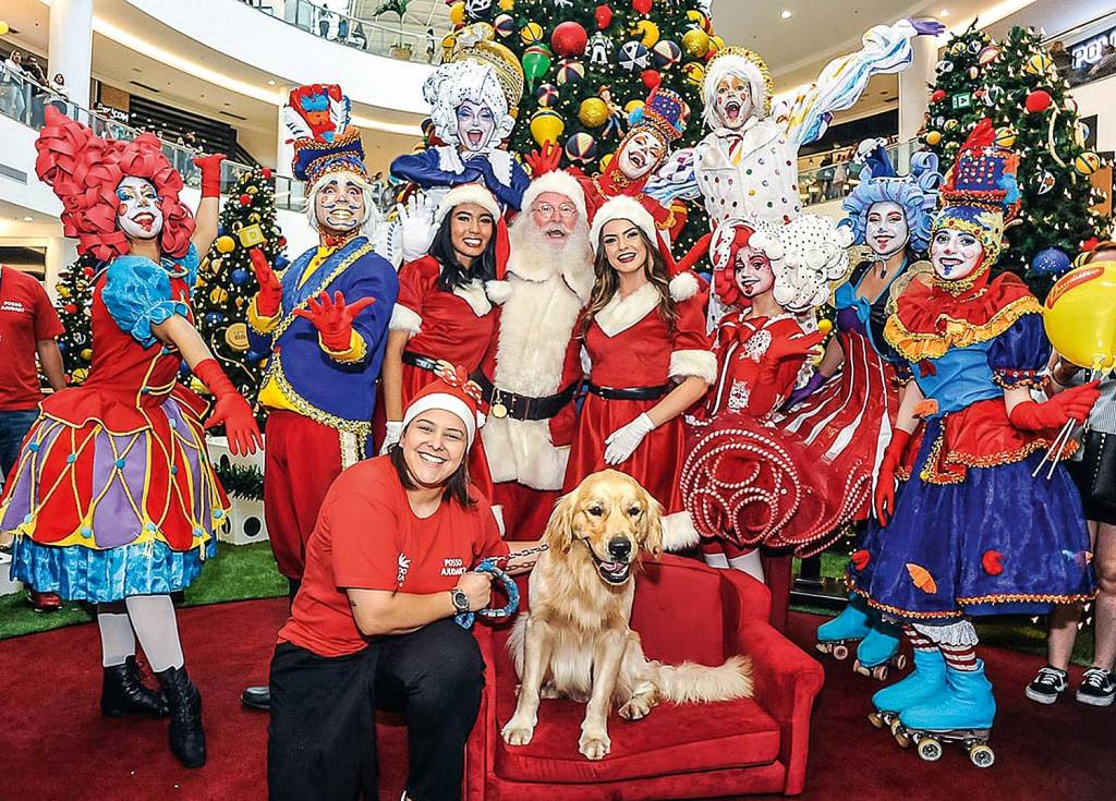 Shoppings voltam a trazer tronos para os pets na decoração natalina