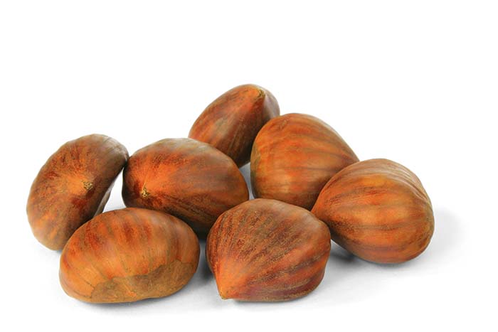 castanha sativa castanha sativa