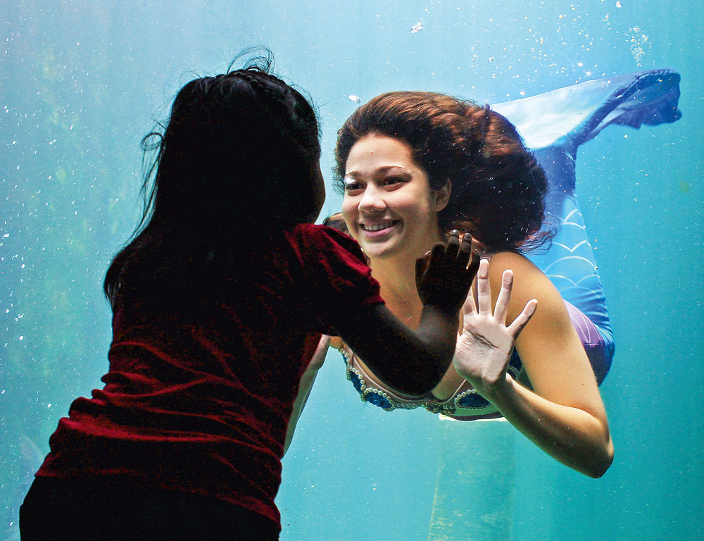 Aquário tem apresentações diárias das sereias durante janeiro