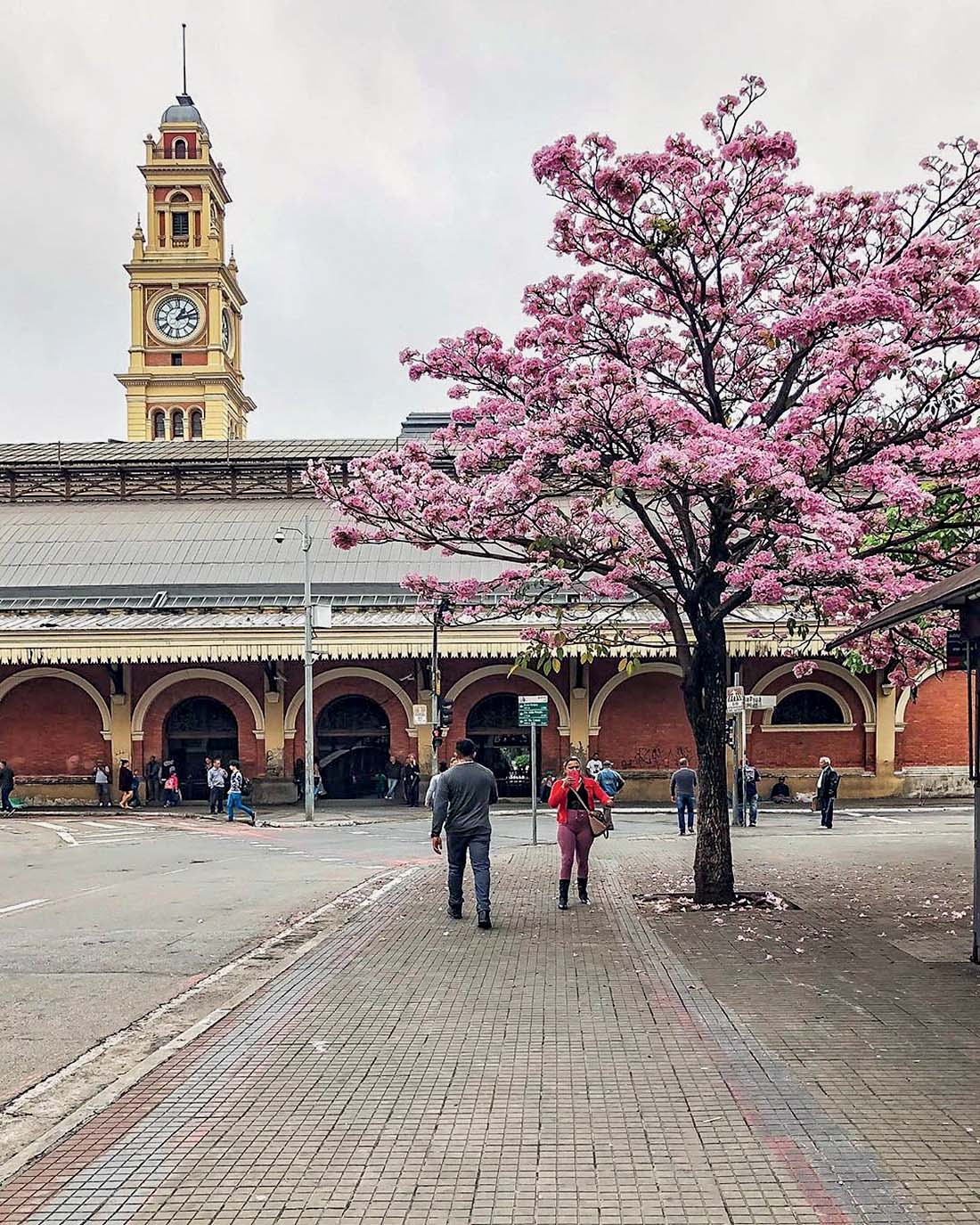 esta&ccedil;&atilde;o da luz@joaokato