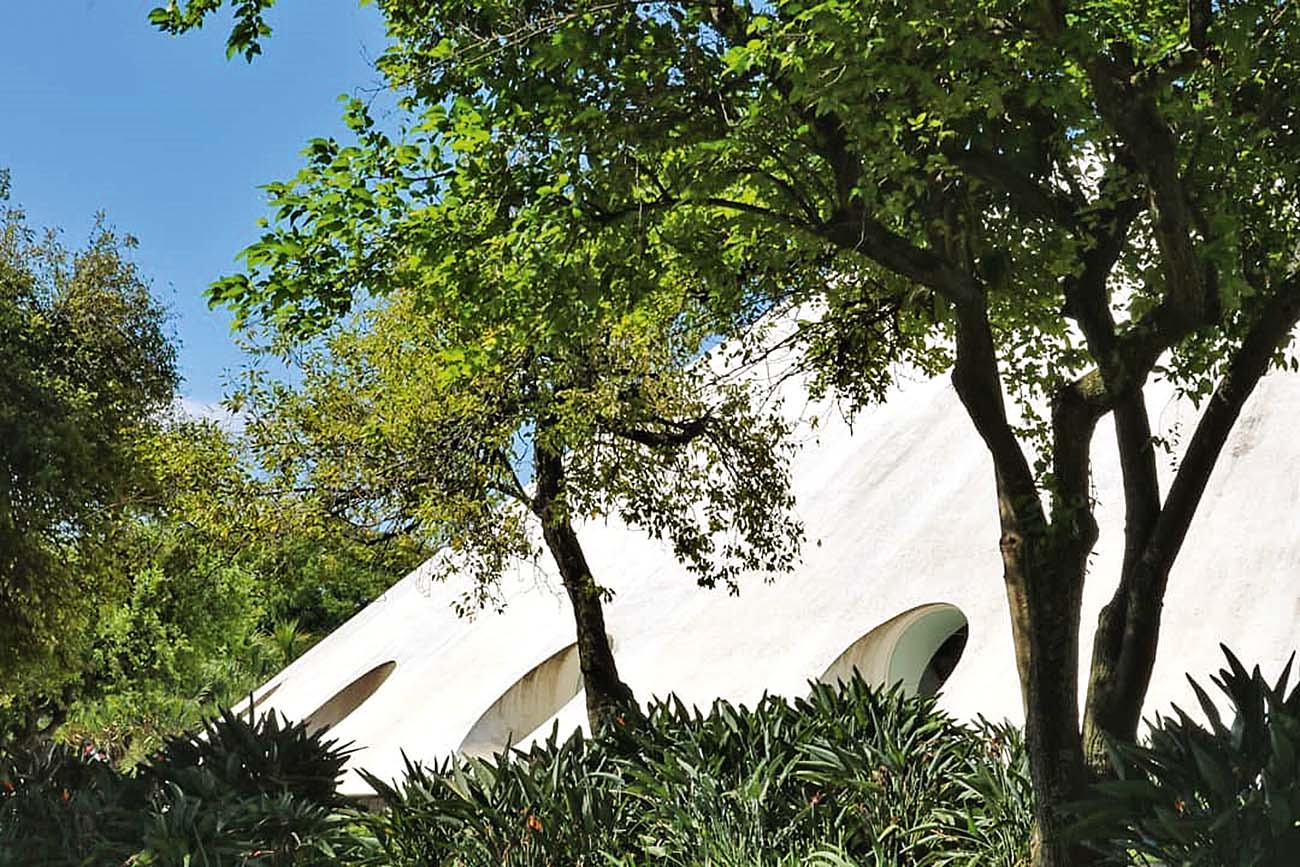 parque ibirapuera@eubetomendes