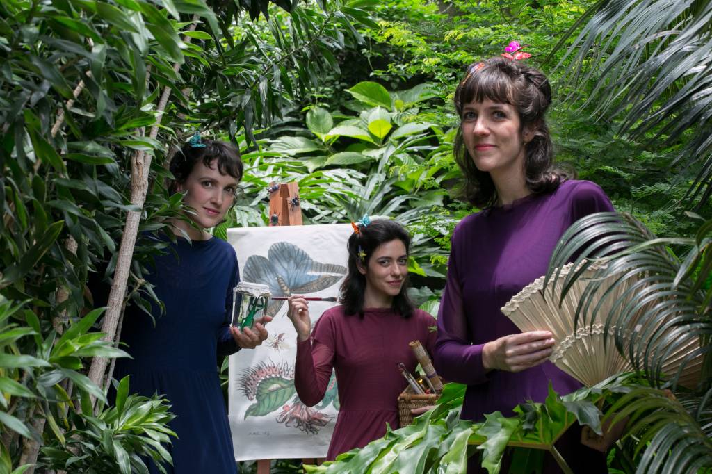 Maria e os Insetos: espetáculo da Cia. Delas é sensível e certeiro