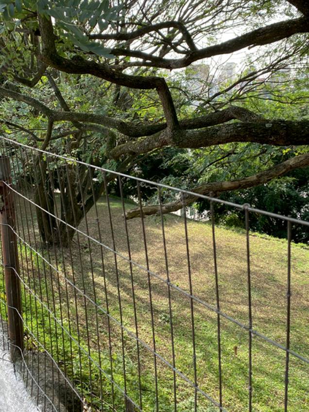 Os vastos jardins do antigo educandário: a 800 metros do Metrô Clínicas, prédio público não tem uso Os vastos jardins do antigo educandário: a 800 metros do Metrô Clínicas, prédio público não tem uso