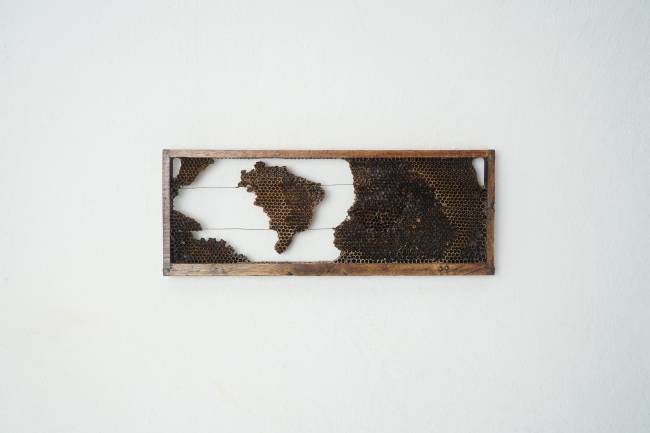 Pindorama 02_2020_Escultura com colmeia e cera de abelhas_17x46x2,5cm Pindorama Abelhas