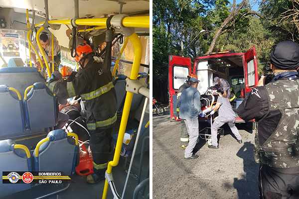 Acidente de ônibus deixa 11 feridos após colisão com árvore
