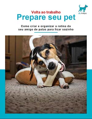 Volta ao Trabalho Volta ao Trabalho