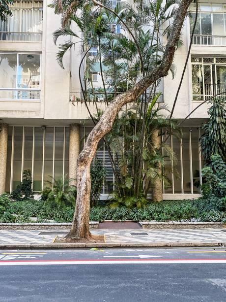 Sem grades nem muros: segurança da transparência Sem grades nem muros: segurança da transparência