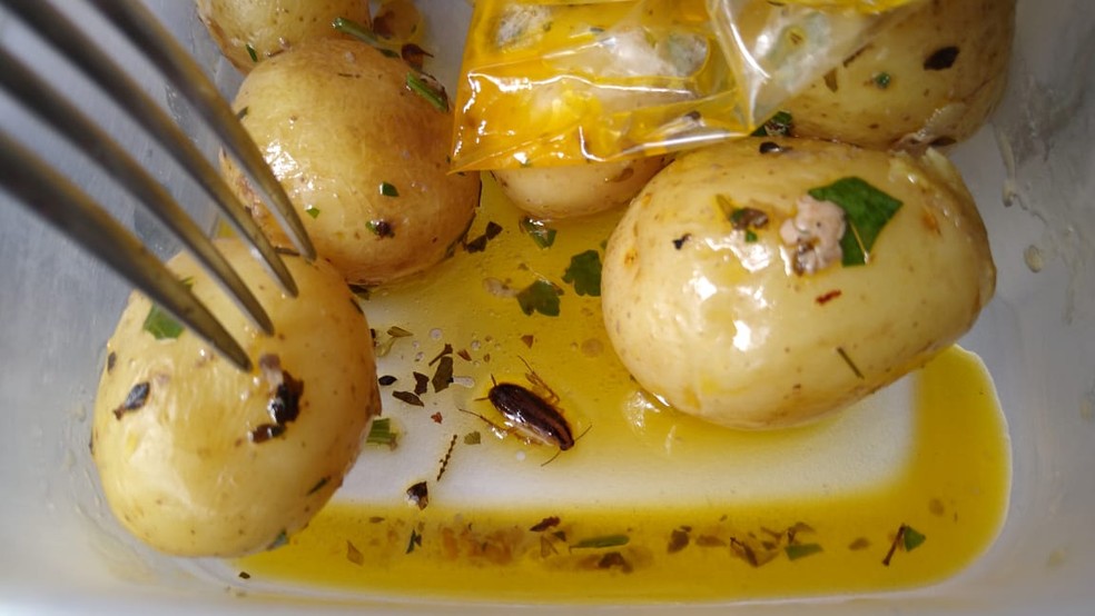 Homem encontra ‘barata gratinada’ em almoço pedido em restaurante