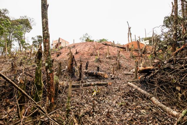 Bairro em construção: depois de causar um incêndio, os loteadores derrubaram as árvores que sobraram e construirão novas casas Bairro em construção: depois de causar um incêndio, os loteadores derrubaram as árvores que sobraram e construirão novas casas