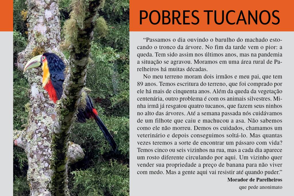 desmatamento mananciais parelheiros capa desmatamento mananciais parelheiros capa