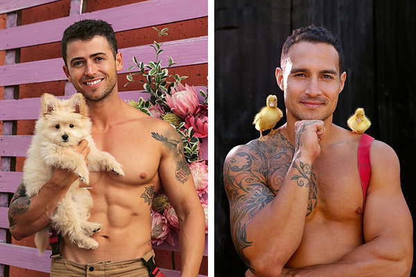 Bombeiros australianos posam com bichinhos para calendário beneficente