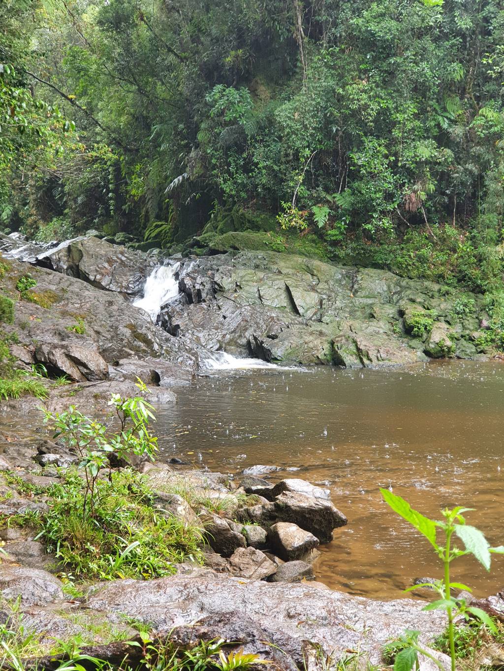 Imagem mostra a Cachoeira do Sagui rodeada pela Mata Atlântica