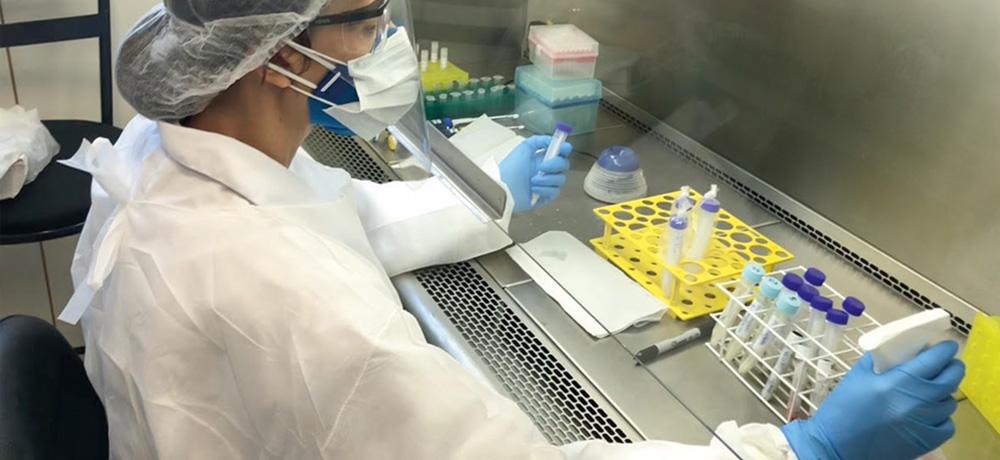 Créditos_Força Tarefa COVID19 USP Pirassununga.jpg Pesquisadora em um laboratório