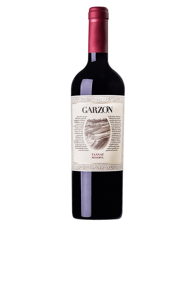 Vinho tinto: Garzón Reserva Tannat