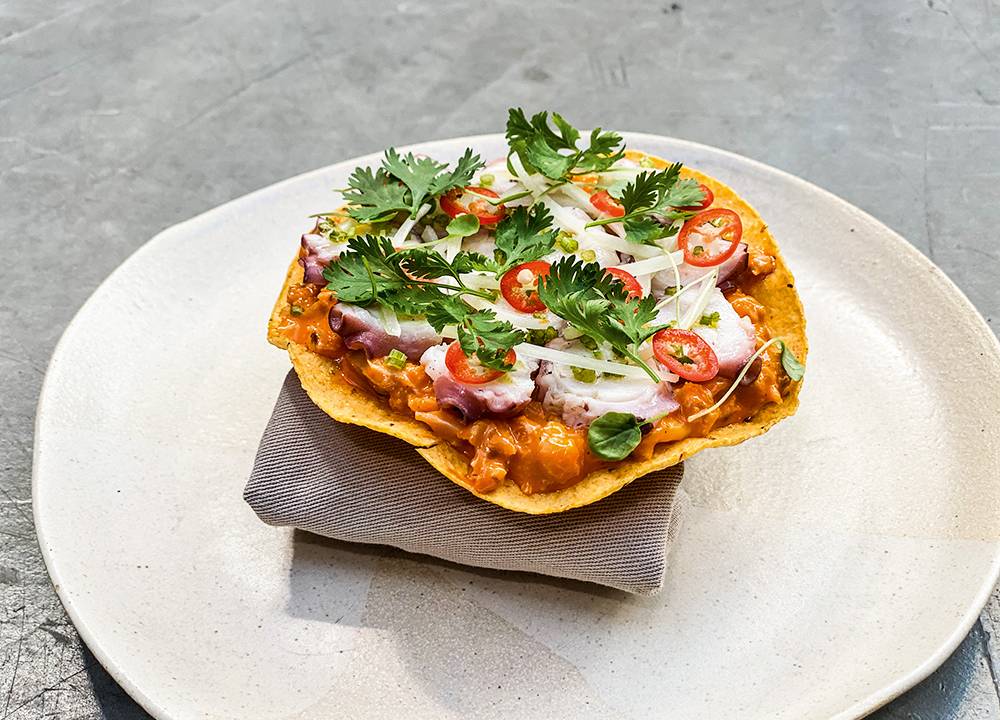 Tostada campechana: com polvo, salpicão de peixe, abacate e maionese de pimenta