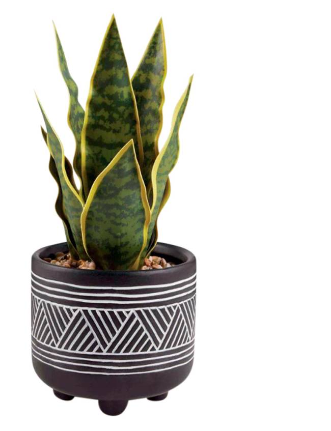vaso x.png Vaso com planta permanente Mart.