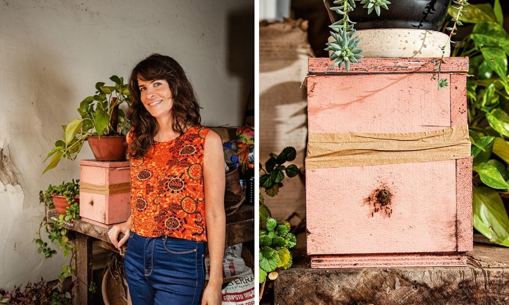 Isabel Caixa Abelhas Montagem de duas imagens. À esquerda, Isabel apoiada com o braço em uma mesa que tem sua caixa de criação de abelhas. À direita, a caixa, com o buraco onda há algumas abelhas