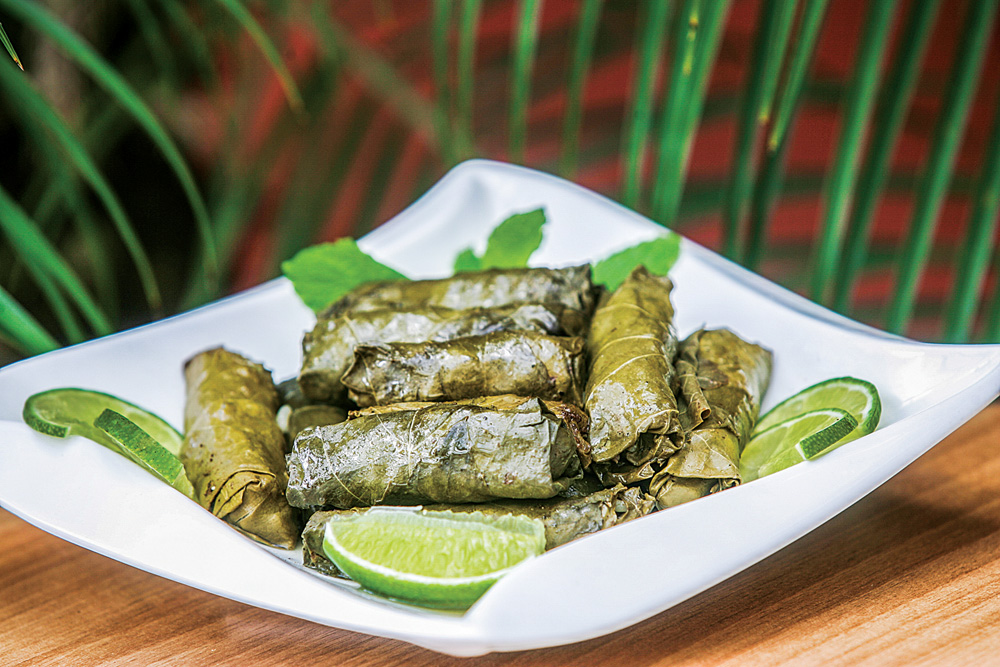 Charutinhos de folha de uva – Chef Benon Charutinhos de folha de uva em cima de um prato branco
