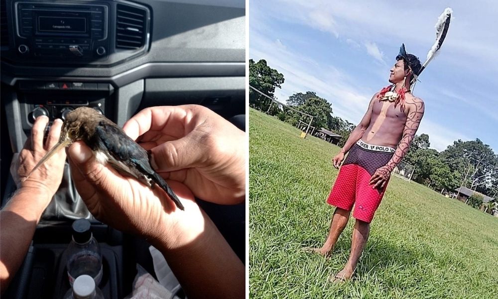 Motociclista tem garganta perfurada por pássaro e sobrevive