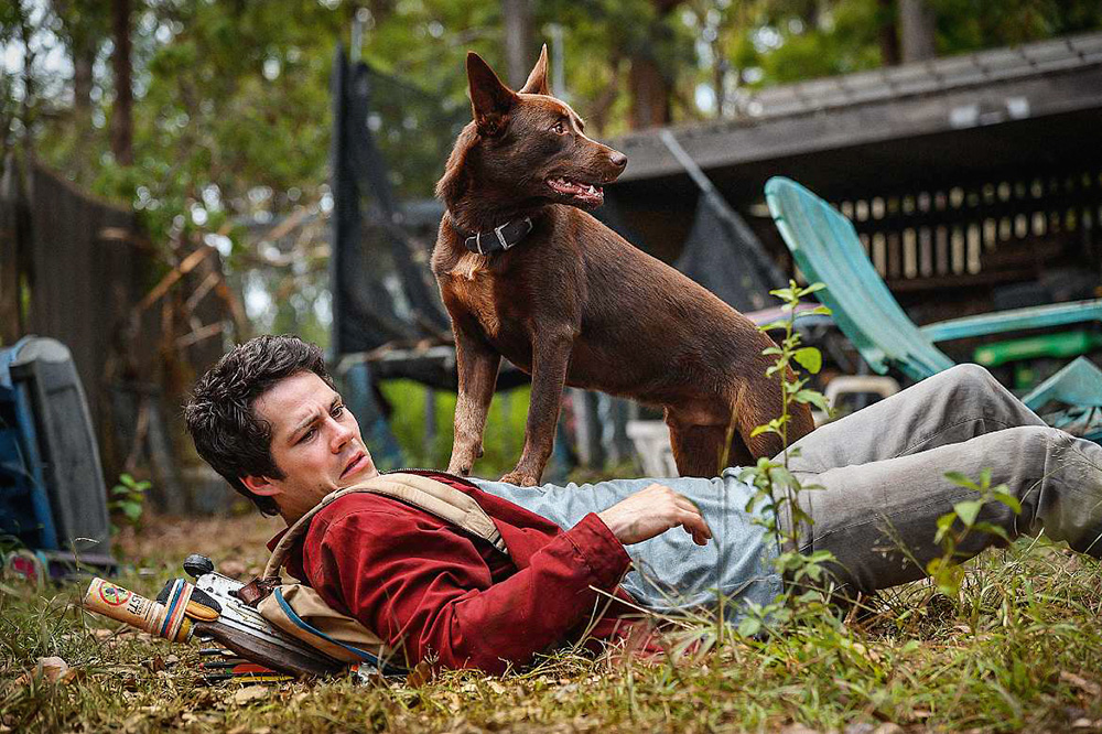 Dylan O’Brie, caído no chão no meio da mata, com um cachorro sobre ele, em pé, olhando para o lado