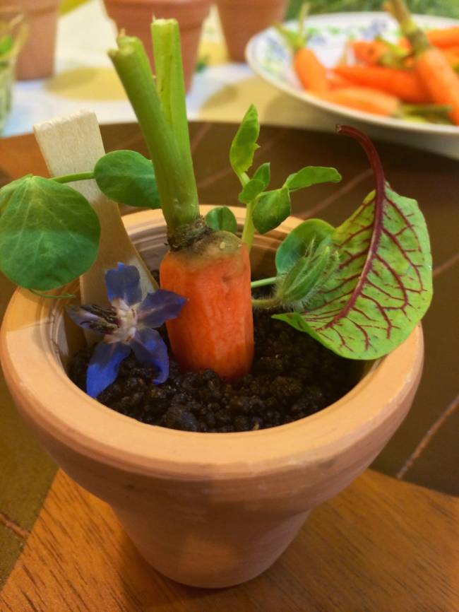 Mesa de Cinema – Petí Gastronomia Vaso de planta de cerâmica laranja com