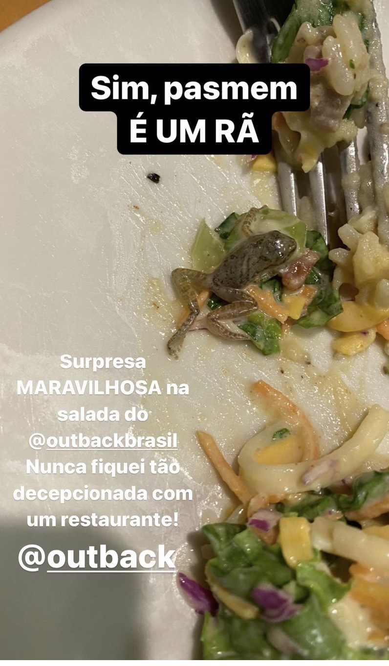 rã_restaurante Prato de comida com um garfo e um pequeno anfíbio inanimado