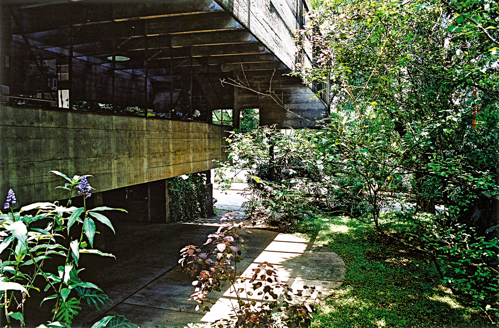 memória-PAULO-MENDES-DA-ROCHA-filho-casa-butantã casa de paulo mendes da rocha no butantã, bem arborizada