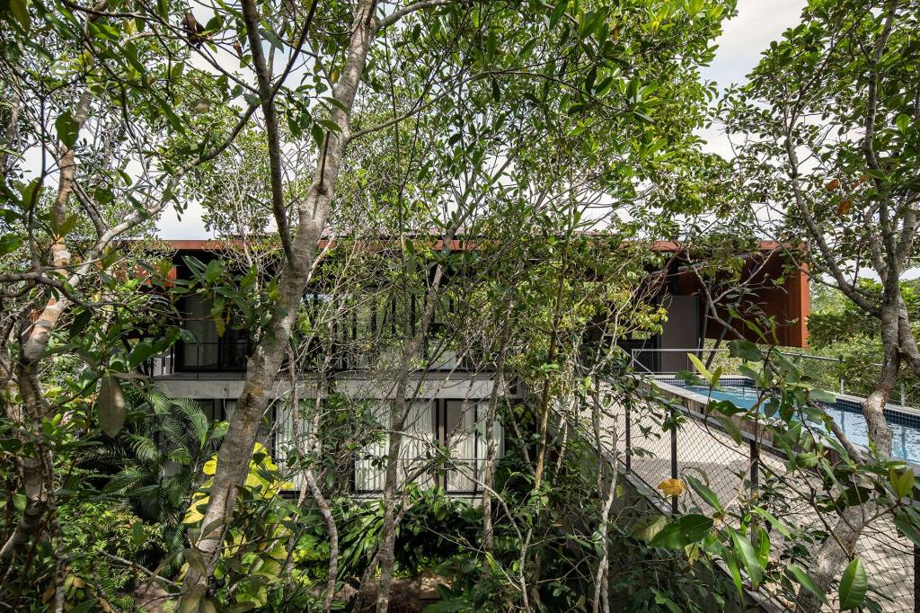 Casa-Campinarana-Laurent-Troost-0-Credito-Maira-Acayaba Casa Campinarana. Projeto de Laurent Troost.